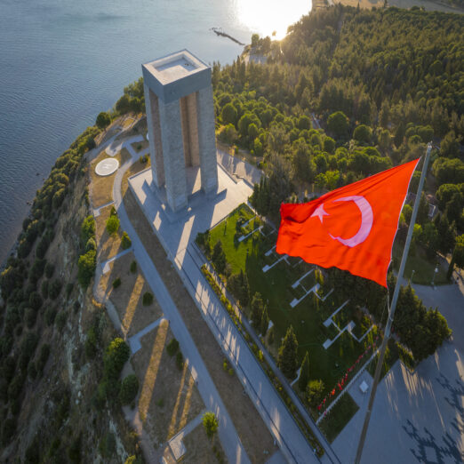 Dubai - turkey  International